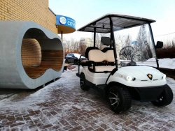 Concordia GK2+2 4-Seater Electric Passenger Vehicle
