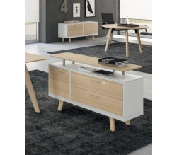 Office and Educational Personal Cabinet - Home Evolution