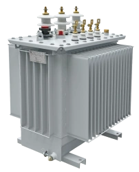Oil-Immersed Distribution Transformer 16-630 kVA for Outdoor Use TMГ Series