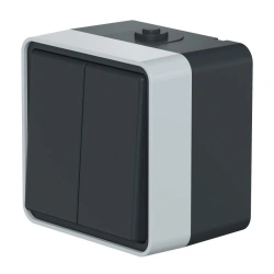 CADUCEUS ALING Protecta Dual Switch 10AX, 250V, IP55, Anthracite Grey, Art. 22502.A1