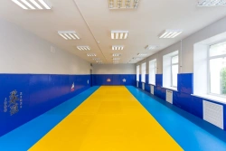 Wrestling Tatami Mat - High-Quality Training Equipment