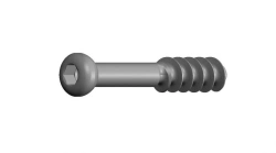 Non-Sterile Titanium Spongy Screw Ø 6.5 mm, 16 mm Thread, 25-120 mm Length, 5 mm Pitch, Article 22.17.XX