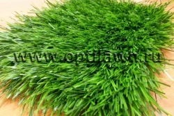 Optigrass PLUS 65 MF Artificial Grass Surface