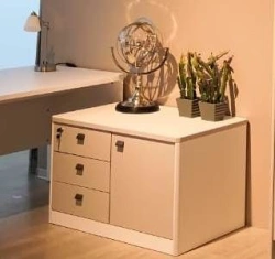 50.302.00.00 Storage Cabinet - Durable LDF Construction