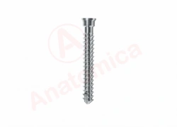 Spongy Screw with Cylindrical Thread for Bone Fixation