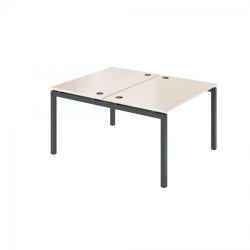 Double Workbench for Two Users AMB-002