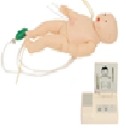 Neonatal Resuscitation Training Manikin for CPR, Model ACLS150