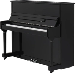 Acoustic Piano PRESTO P118