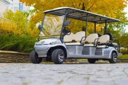 Concordia GK6+2 6-Seater Passenger Electric Vehicle