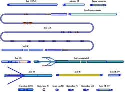 Apparatus for Measuring Apparent Electrical Resistivity of Rocks K8