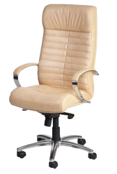 Ergonomic Office Chair KR4 with Gas Lift and Armrests