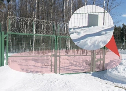 Dual-Position Radio Wave Detection System "Raps-22