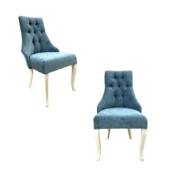 Elegant Dado Chair with Soft Seat and Curved Back