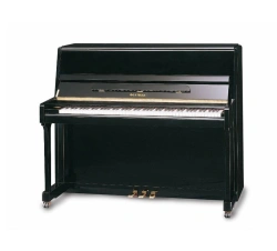 Phoenix F-121 Piano - High-Quality Musical Instrument