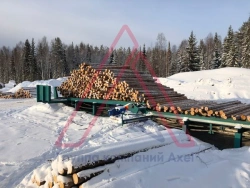 Wood Feeding Line for Automatic Transportation - AKSEL