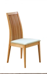 Parma 6 Chair for Work and Relaxation