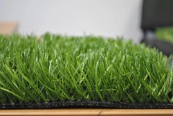 Artificial Grass Surface Optigrass MonoSport 60 MF