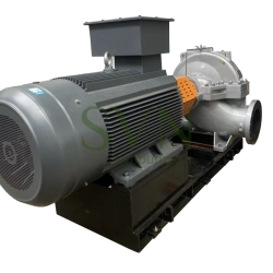 Energy-Efficient Dual-Inlet Pump SVN D