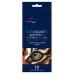 High-Quality Colored Pencils "VISTA-ARTISTA" Gallery VGCP-12 Set of 12 Colors