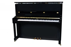 Melody Piano Model 120 for Beginners and Music Schools