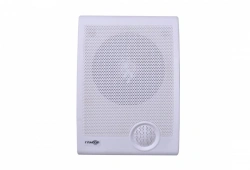 Wall-Mounted Voice Alert System "Glagol H2-10