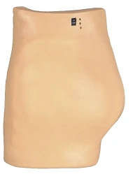 Muscle Injection Training Model NS6021 / T