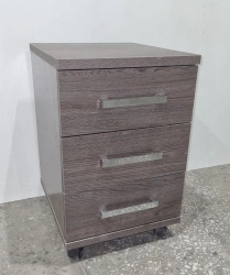 Mobile Document Cabinet for Organizing Papers and Small Items