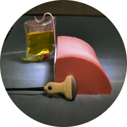 Uroson Ultrasonic-Controlled Urological Trainer