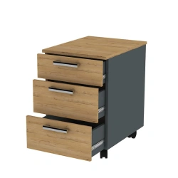 Mobile Storage Cabinet with Three Drawers