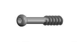 6.5 mm Spongious Screw, 16 mm Thread - 43 Variants