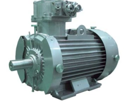 315mm Three-Phase Explosion-Proof Induction Motor Over 37.5W