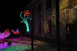 Decorative LED Panel "Carnation" - Outdoor Light Fixture on Brackets (220V, 24V, 12V)