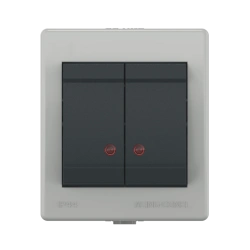 CADUCEUS ALING POWER Dual Switch with Indicator, 10A, 250V, IP44, Gray Anthracite, Art. 2521.1A