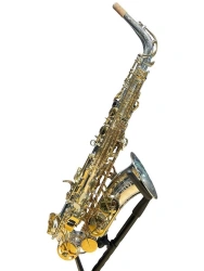 Professional Alto Saxophone Dozenko & Co. DAS-803SG