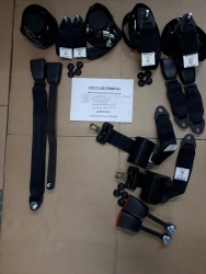 Safety Belt Set for Driver and Passengers 22171.8217008-01