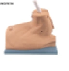 Shoulder Joint Arthroscopy Model for Educational Purposes, Art. LV67