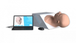 CranioPalp Virtual Simulator for Cranial Rhythm Assessment NG