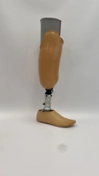 Modular Lower Leg Prosthesis for Underdevelopment Cases