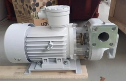 Cryogenic External Centrifugal Pump NKCV 250-400/80