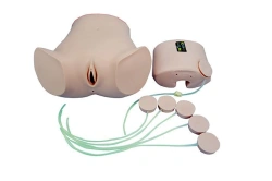 Abdominal Cavity Puncture Model for Training CS6232A