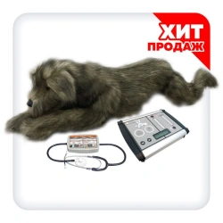 Canine CPR and Pleural Drainage Training Manikin V1029