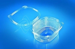 Versatile Food Container PR-RKS-500