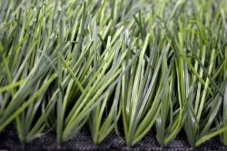 Artificial Grass Turf Covering Grass 60/10 PU