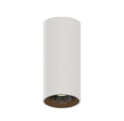 LED Pendant/Surface Mount Light Z1 Lighting Spring