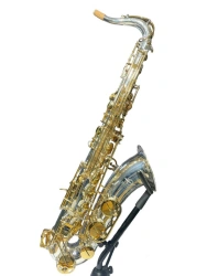 Professional Bb Tenor Saxophone Dozenko & Co. DTS-803SG