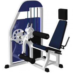 Leg Curl and Extension Machine with Weight Stack