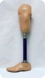 Modular Shin Prosthesis for Underdevelopment Cases