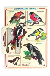 Winter Birds Inset Frames Educational Toy