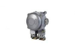 Electrical Equipment Housing OЭАВ-1 for Protection