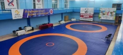Wrestling Mat for Training and Competitions OLYMP